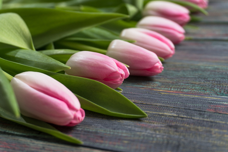 Border from bright pink tulips flowers on black wooden background. Selective focus, place for textの写真素材