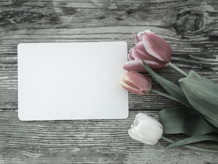 Tulips flowers bunch on dark barn wood planks background. Empty space for copy, text, lettering. Postcard, greeting card template.の写真素材