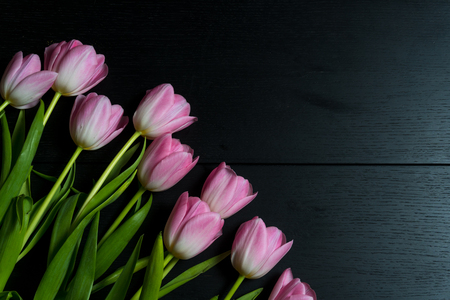Border from bright pink tulips flowers on black wooden background. Selective focus. Place for text. Flat lay.の写真素材