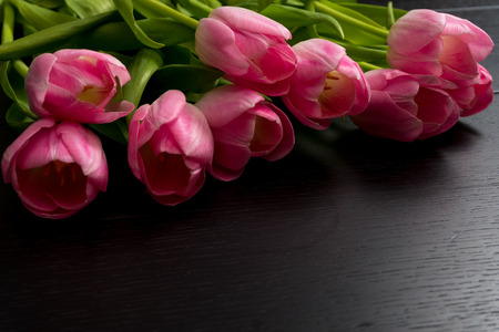 Border from bright pink tulips flowers on black wooden background. Selective focus. Place for text. Flat lay.の写真素材