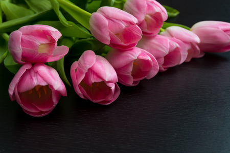 Border from bright pink tulips flowers on black wooden background. Selective focus. Place for text. Flat lay.の写真素材