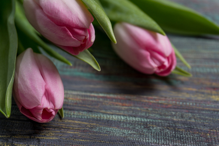 Border from bright pink tulips flowers on wooden background. Selective focus, place for textの写真素材