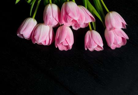 Border from bright pink tulips flowers on black wooden background. Selective focus. Place for text. Flat lay.の写真素材