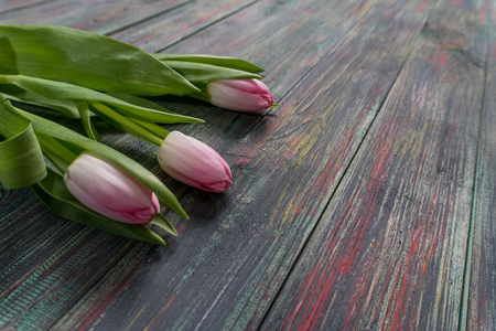 Border from bright pink tulips flowers on wooden background. Selective focus, place for textの写真素材