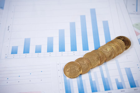 Bitcoin is a modern way of exchange and this crypto currency is a convenient means of payment in the...