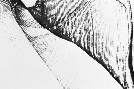 Black ink abstract stripes background. Hand drawn lines. Ink illustration. Simple striped background.の写真素材