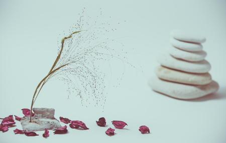 Spa still life with stacked of stone with a beautiful branch, selective focus, toned imageの写真素材