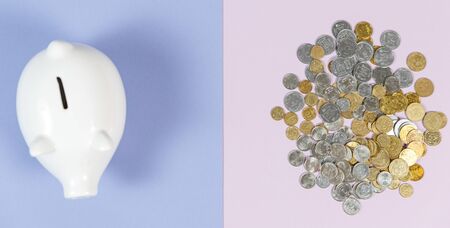 Piggy bank with growth coins against blank backgroundの写真素材