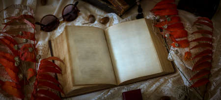 Open old book with blank pages with vintage background. Copy space. Free space for test. Top viewの写真素材
