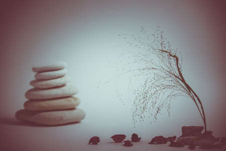 Spa still life with stacked of stone with a beautiful branch, selective focus, toned imageの写真素材