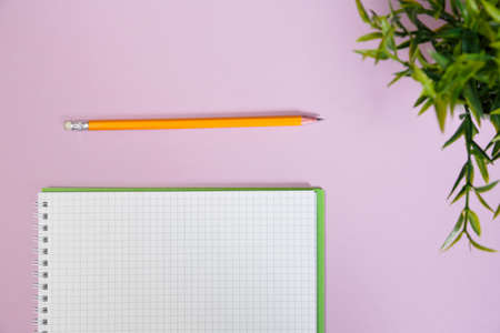Office supplies in the pink workspace. Top view with copy space for input the text. Designer workspace on desk table essential elements on flat layの写真素材