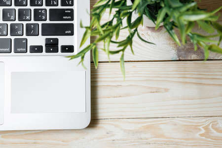 Business cards blank. Mockup on color background. Flat Lay. copy space for textの写真素材