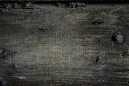 Old wood background texture. Vintage warehouse door and metal element. Rural architecture.