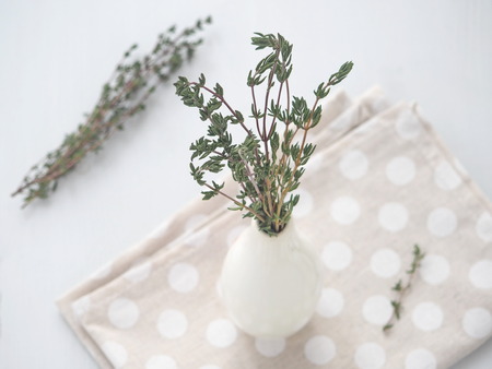 Bunch of thyme sprigs in small white vase over white wooden background. Selective focus on the sprigs.の写真素材