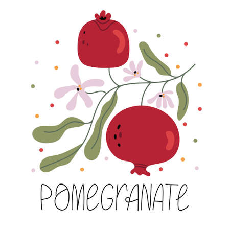 Branch with pomegranate fruit and flowers. Spring mood. Health. Illustration for children's book. Cute Poster.Simple illustration.のイラスト素材