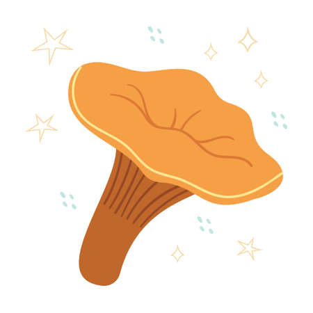 Cantharellus cibarius on a white background.Raw fresh chanterelle mushrooms.Forest harvest.のイラスト素材
