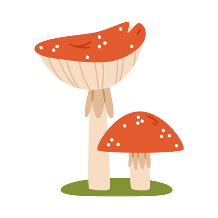 Two cute fly agarics.Cute amanita with red hat and white spots. Hand-drawn colored flat vector illustration isolated on white background.のイラスト素材