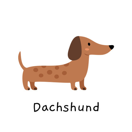 Cute dachshund illustration in minimal scandinavian style. Perfect for nursery decor, children's prints, pet posters, and dog lover designs.のイラスト素材