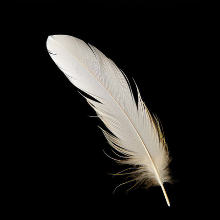 flying white feather on black background, ai generated.の素材