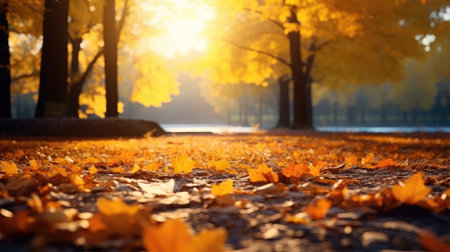 Beautiful autumn landscape with yellow falling leaves. foliage in the parkの素材