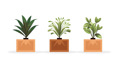 Cardboard boxes and home flower on white background.の素材