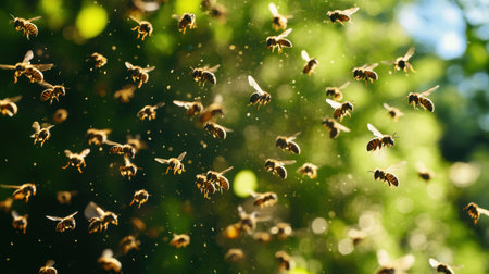 dangerous yellow-black wasps at sunny dayの素材