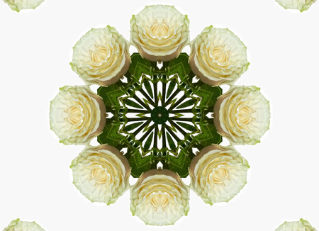 abstract kaleidoscopic pattern,background for design of rosesの写真素材