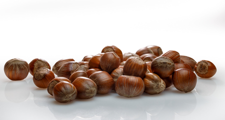 A scattering of hazelnuts on a white backgroundの写真素材