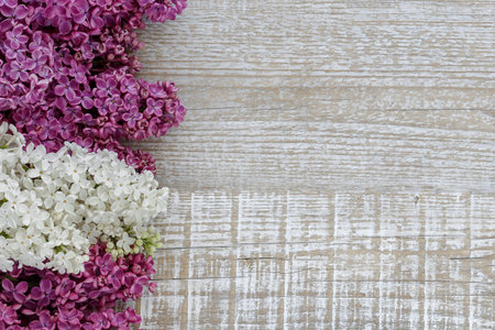 Background of lilac flowers on a wooden surface close upの写真素材
