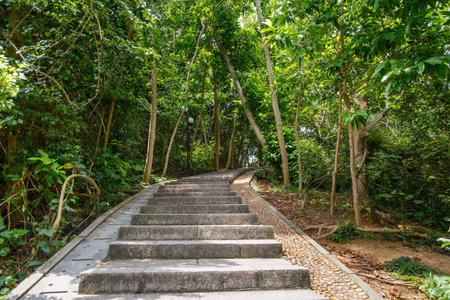 Stone steps in a city green park, Shenzhen, China
