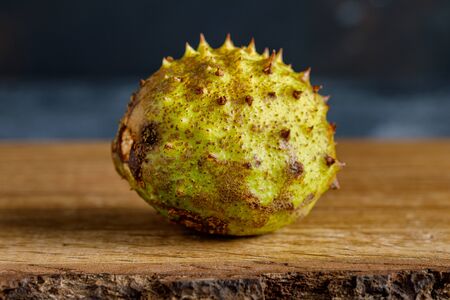 Unopened chestnut on a wooden surface green with spikesの写真素材