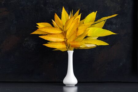 Yellow autumn leaves in a white vase against a dark backgroundの写真素材