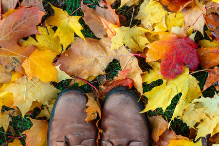 Fragment of brown boots standing on fallen yellow leaves. Season change concept. autumn season time.