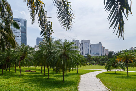 Scenic corner of the park in the center of the metropolis, with tropical vegetation, Shenzhen,...