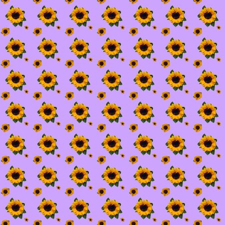 Seamless pattern with sunflowers on a purple background. Decorative floral design elements.の写真素材