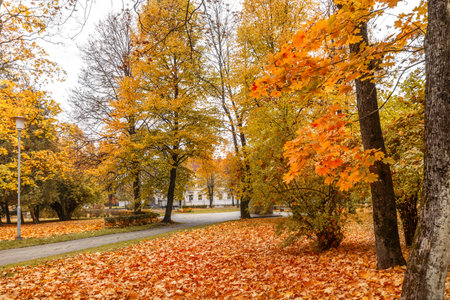 Autumn landscape in the city park with yellow foliage on the treesの写真素材
