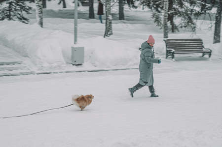A girl runs with a dog through a winter parkの写真素材