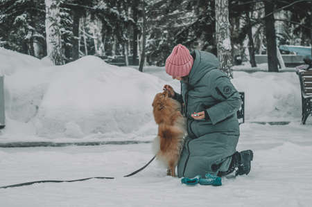 A girl feeds her dog with her handsの写真素材
