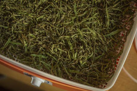 Preparation of medicinal herbs in an electric dryer. View from above of a scattering of dry grasses.の写真素材