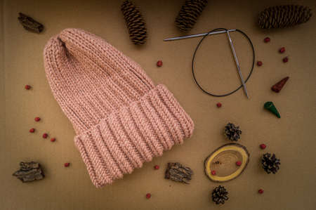 Hand-knitted caramel womens hat. With knitting needles and decor.の写真素材