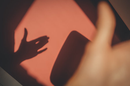 A shadow on the wall from the hand in the shape of a dogs head. Light from the window in the early...