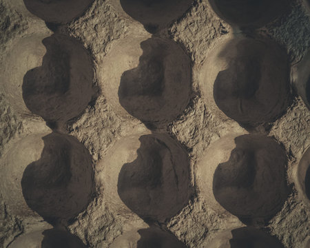 A close-up background image of the texture and shape of the egg box. Sharp shadows.