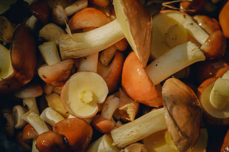 Wicker basket with mushrooms. Daylight, close-up, toning, outdoors.の写真素材