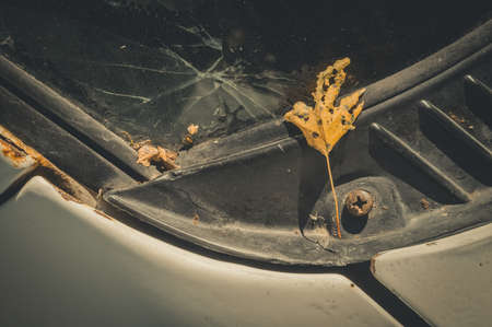 Autumn dry leaf from a tree on the cracked windshield of an old car. Dust on the glass and surfaces of the machine.の写真素材