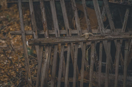 Fragments of an old wooden fence. Picket fence. Selective focus.の写真素材
