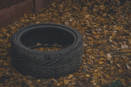 Used tyre. An old car tire among the autumn leaves. An abandoned wheel from a car. Selective focusの写真素材