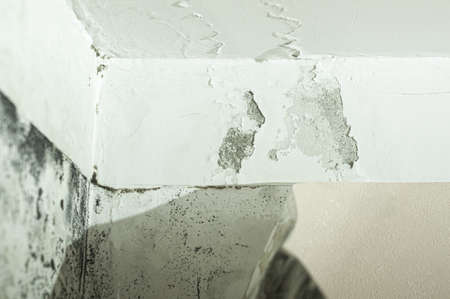 Mold and mildew on the wall in the room. A freezing wall. Dampness on the surface. A leaky ceiling. Selective focusの写真素材