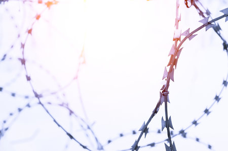 Barbed wire in the snow close-up. Abstraction, selective focusの写真素材