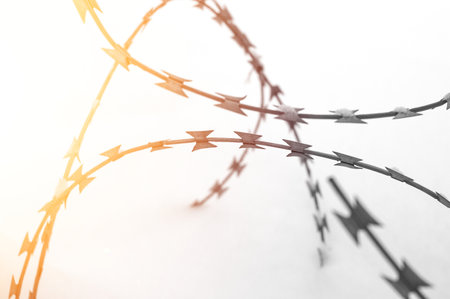 Barbed wire in the snow close-up. Abstraction, selective focusの写真素材
