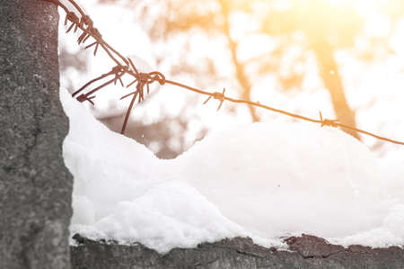 Old barbed wire on a concrete fence large with snow in winter close-up. Selective focusの写真素材